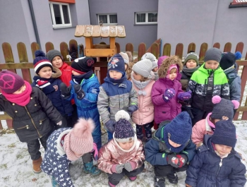 Dokarmiamy ptaki - zdjęcie3