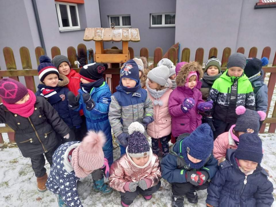 Dokarmiamy ptaki