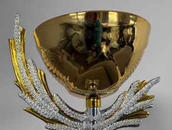 Sukces naszej uczennicy! - zdjęcie1