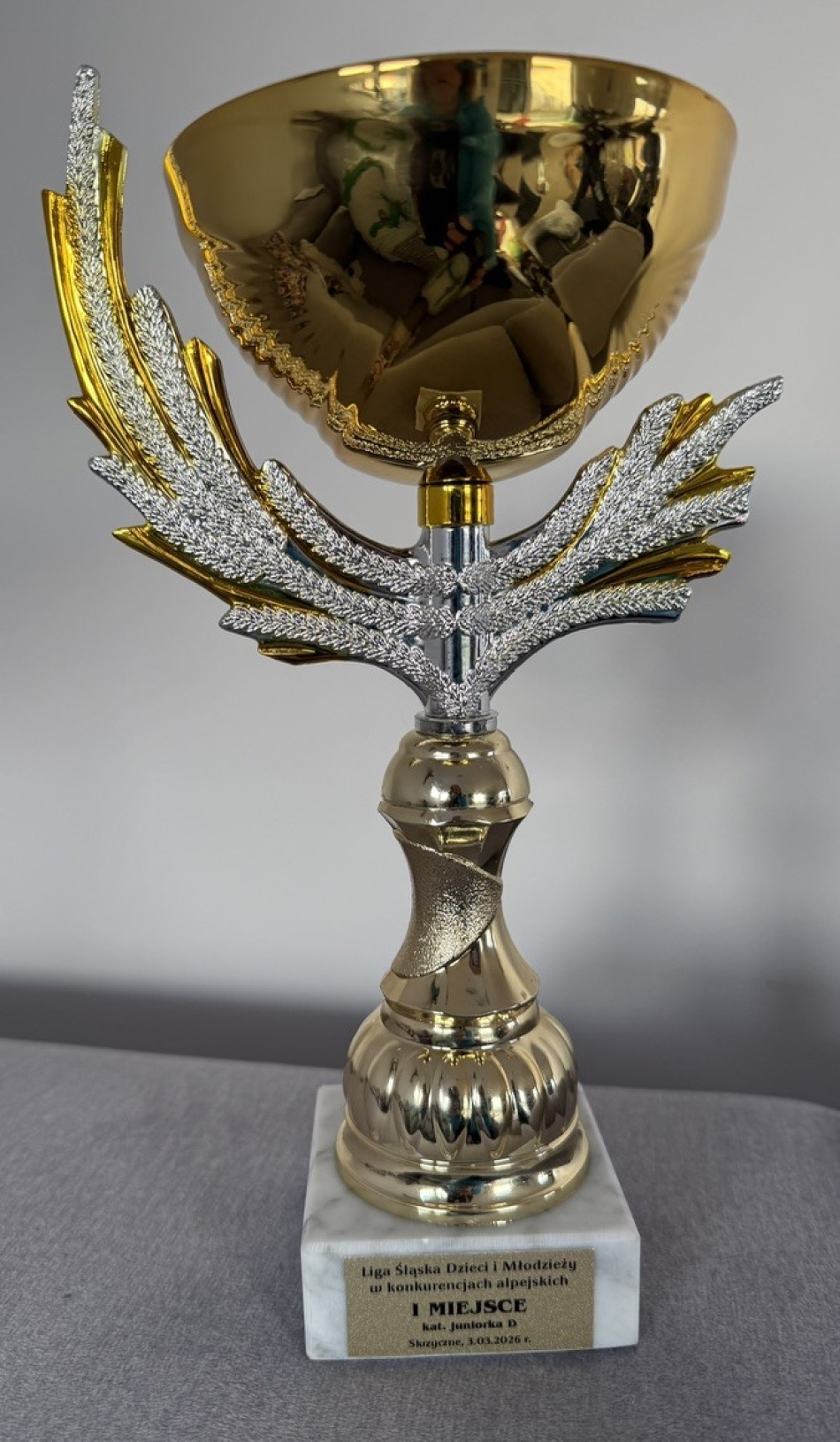 Sukces naszej uczennicy!